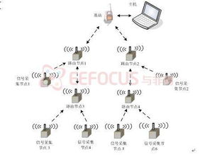 無線傳感器網絡用于環境監測的典型案例分析